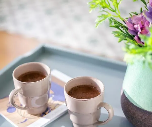 Art & Comfort アパート カウナス