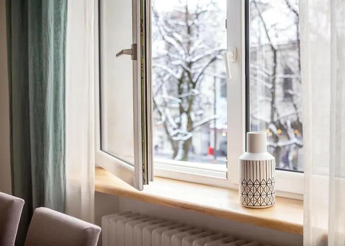 Art & Comfort アパート カウナス